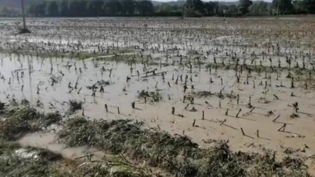 Giornata mondiale del suolo, Coldiretti Marche: “Tutelare l’agricoltura significa difendere territorio da rischio frane”
