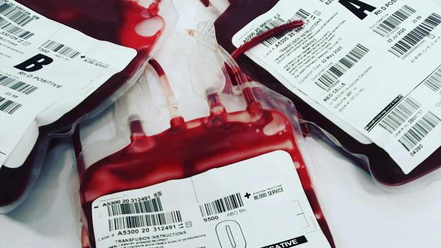 Giornata mondiale del Donatore di Sangue, il DIRMT: “Nelle Marche non c’è carenza di sangue”