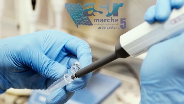 Coronavirus, nel Piceno quasi 250 positivi ieri. Le raccomandazioni dell'Area Vasta 5