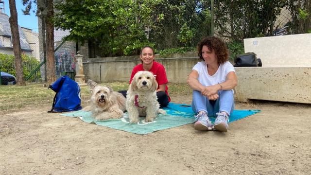 Ascoli Piceno, progetto ''Un Cane per Amico'' con i bambini di tre scuole dell'infanzia