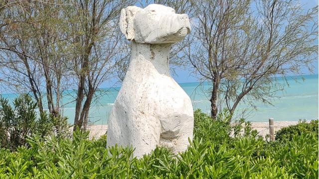 Puliamo il mondo, a Grottammare studenti alla Dog Beach: attività di educazione ambientale promossa da Legambiente