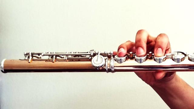 Regione Marche, lezioni individuali di canto e strumenti a fiato non sono sospese