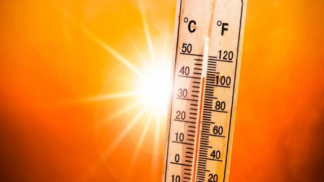 Stress termico e lavoro all'aperto nelle Marche: firmata l'ordinanza dal presidente Acquaroli