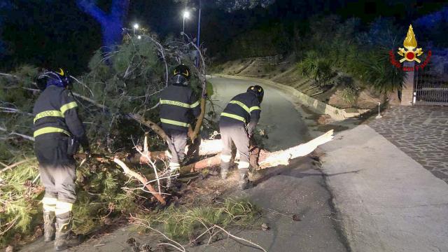 Allerta forte vento nelle Marche e nel Piceno. Sindaco Ascoli: “Prestare massima attenzione”