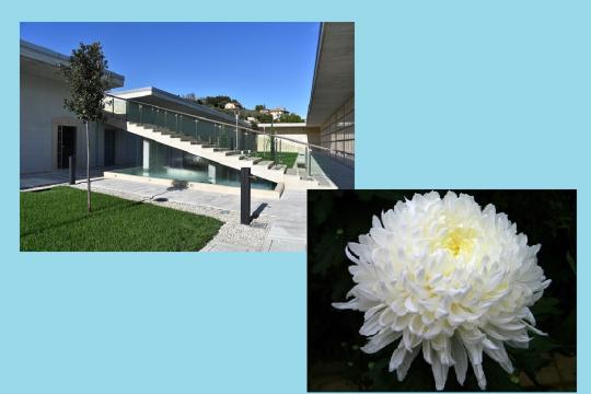 Monteprandone: Ognissanti e commemorazione dei defunti, misure anti-contagio al cimitero