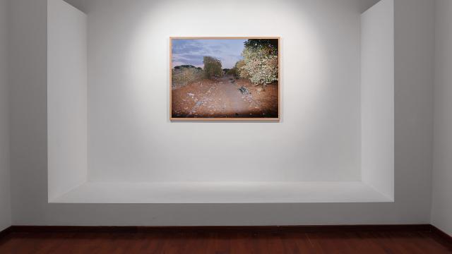 Ascoli Piceno, inaugurazione Premio Sparti 2025: iniziativa che mette a centro l'arte contemporanea