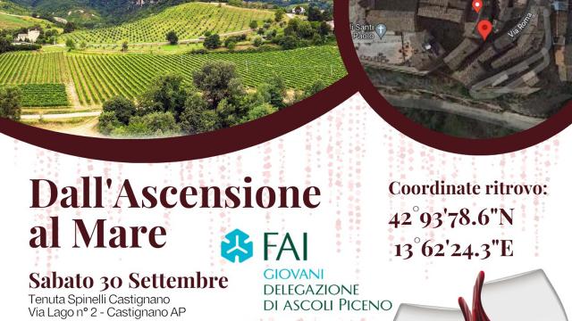 Vino e cultura del territorio, il Gruppo FAI Giovani Ascoli Piceno in visita alla Tenuta Spinelli di Castignano