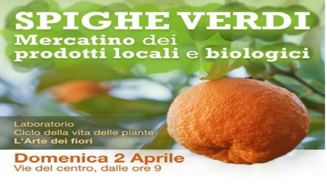 Grottammare, Campagna Amica partecipa alla giornata delle ''Spighe Verdi''