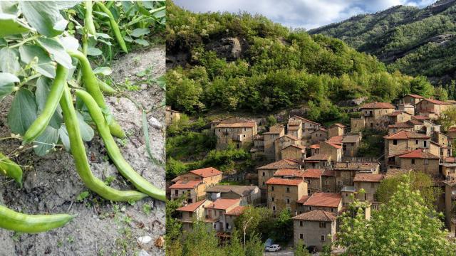 Favalanciata: torna l'appuntamento con il ''Pranzo delle Fave'' all'insegna della tradizione e convivialità