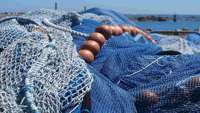 San Benedetto, ''Bandi Flag Marche Sud'' prorogati al 31 Luglio