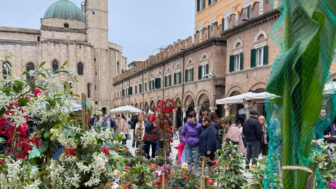 Ascoli Piceno, per il terzo anno consecutivo torna l'iniziativa 'Una città in fiore'.  Fioravanti: ''La promozione passa anche per eventi tematici''