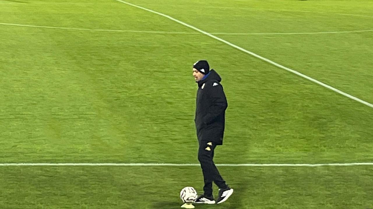 Ascoli Calcio, decimo turno di squalifica in campionato per Tomei ed altra ammenda. Torres senza Zambataro