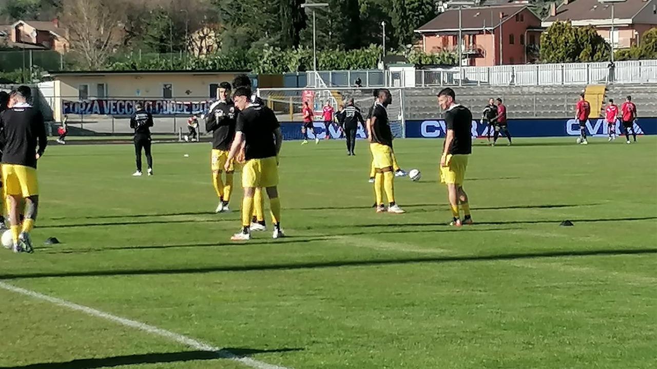 Precedenti Gubbio-Ascoli: due pareggi nelle ultime sfide allo stadio 