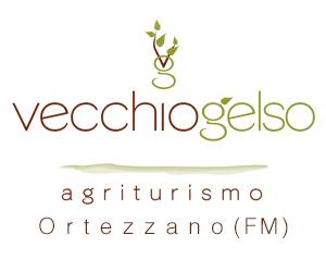 26 ASCOLITIME fila bassa 1/4 - VECCHIO GELSO