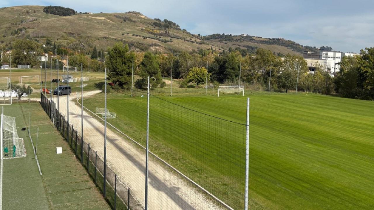 Ascoli Calcio, 23 i convocati di Tomei per la partita con l'Arezzo. Tre le assenze