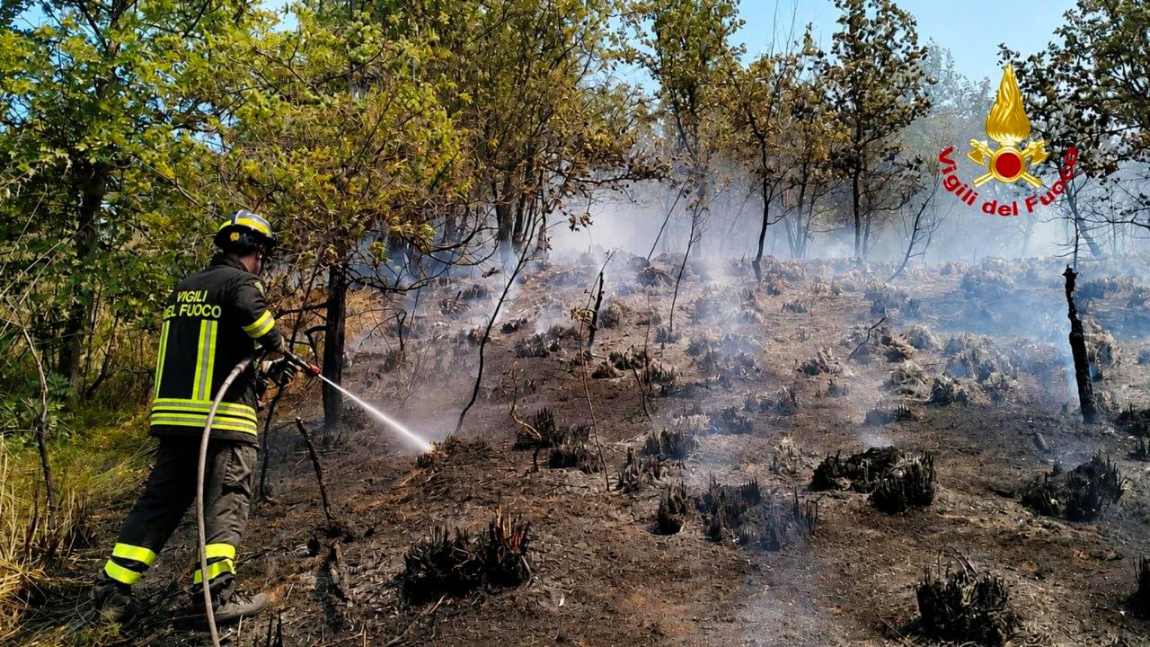 Vigili del fuoco ed elicottero regione Marche impegnati da incendio vegetazione a Venarotta