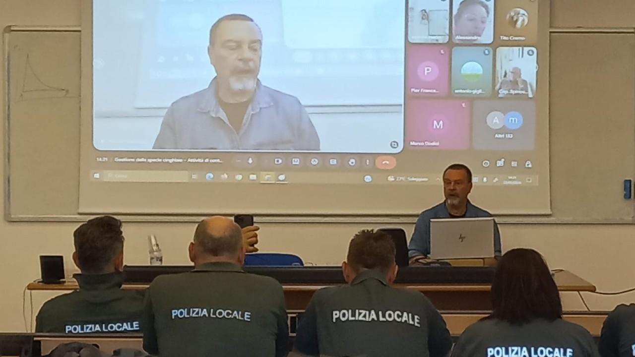 Ascoli Piceno, grazie alla Polizia Provinciale un corso di formazione dedicato alla gestione della specie cinghiale: tante presenze all'iniziativa