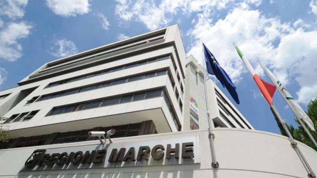 Contributi dalla Regione Marche: Fideas guida le imprese tra bandi per commercio, artigianato, credito e assunzioni