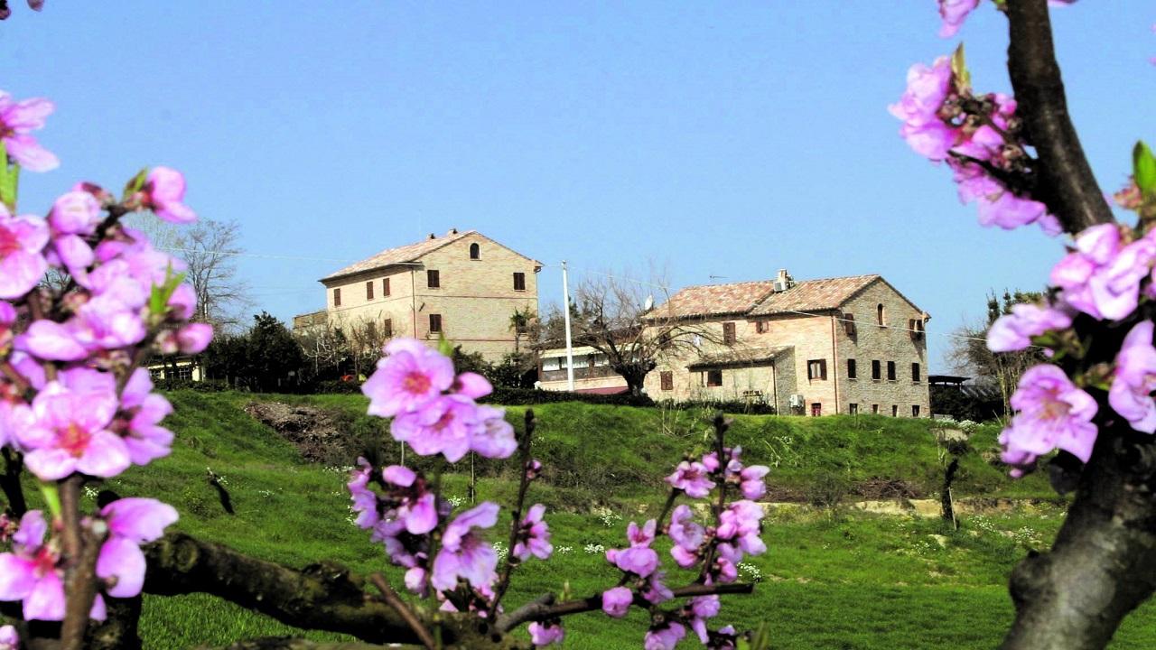 Ascoli Piceno, Cia Agricoltori: “L’agriturismo resta la meta più gettonata per il ponte di Pasqua”