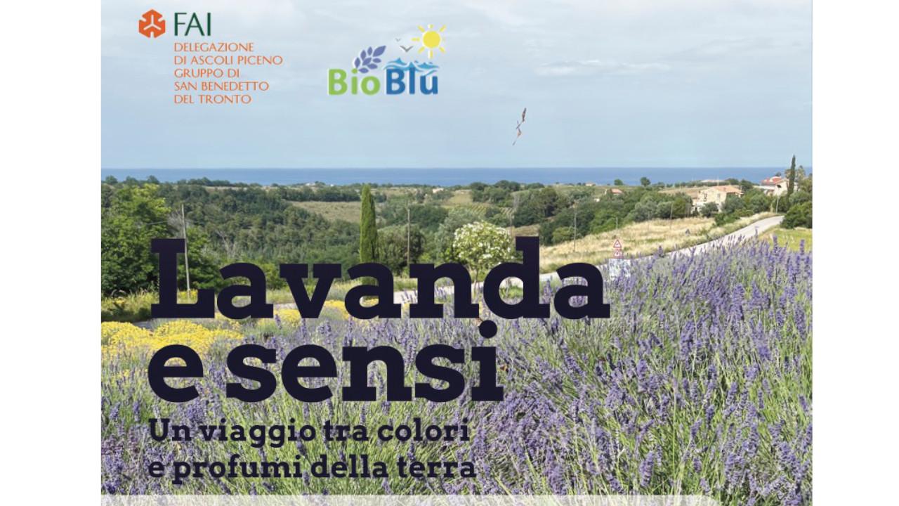 Lavanda e Sensi: a Massignano un viaggio tra colori e profumi della terra insieme al FAI e all’azienda agricola biologica Bio-Blu