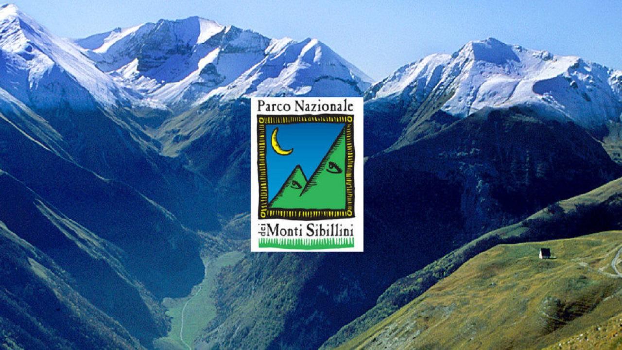 Miele d'eccellenza: uno studio dimostra la salubrità dei prodotti del Parco dei Monti Sibillini