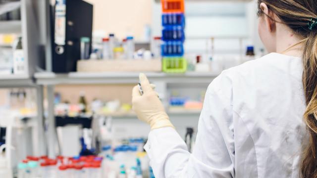 Coronavirus Marche, aggiornamento settimana 18-24 Novembre. In aumento tasso incidenza e ricoveri nei reparti intensivi
