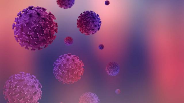 Covid: nuova variante BA.2 più pericolosa di Omicron. Lo rivela una nuova ricerca effettuata in Giappone