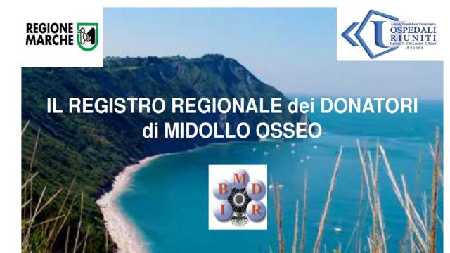 Registro regionale donatori midollo osseo: centesima donazione nelle Marche