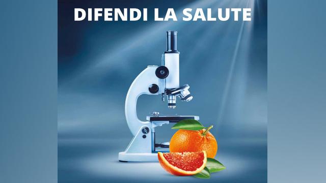 Arance Rosse della Ricerca, ottimo risultato nei punti vendita del Gruppo Gabrielli