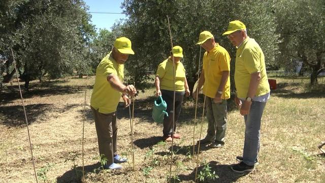 Salute e invecchiamento, agricoltura sociale diventa terapeutica: a Castignano presentazione progetto 'Silver Agri Age' 