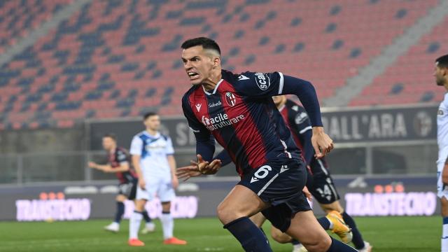 Bologna-Atalanta 2-2, highlights