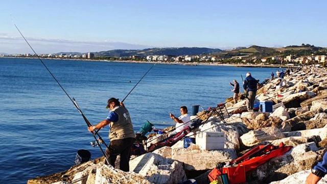 San Benedetto del Tronto, gara di pesca con canna sul lato esterno del  Molo sud