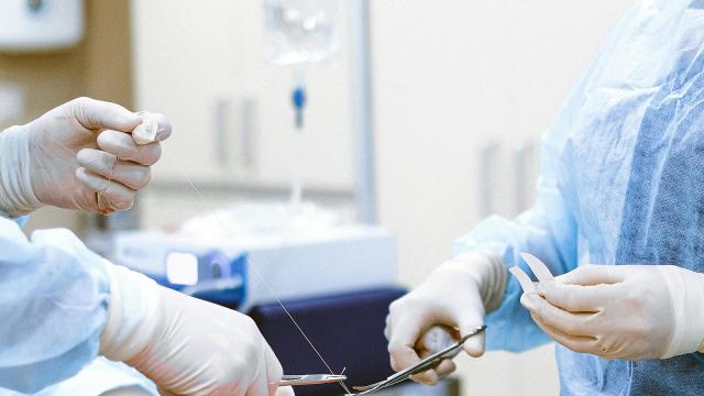 Trapianti: la Regione Marche investe 300mila euro per il rafforzamento delle attività nel 2025
