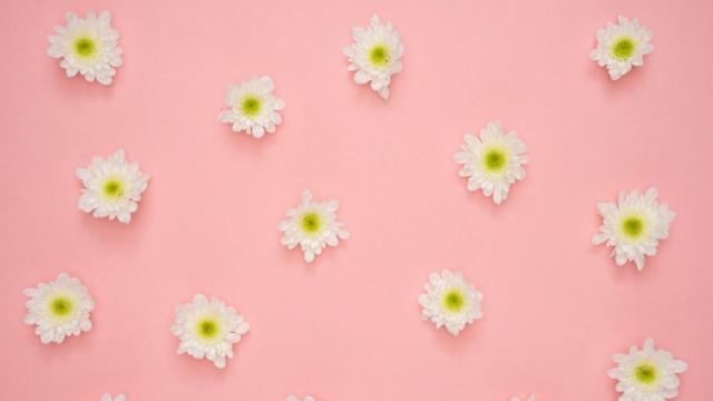 I Cosmetici Giapponesi per Capelli: Una Rivoluzione Firmata Exclusive Cosmetics 