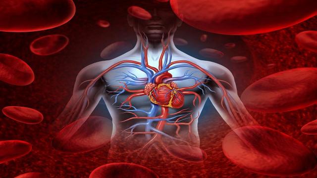 Ast Ascoli Piceno: ospedale ''Mazzoni'', successo per lo screening malattie cardiovascolari