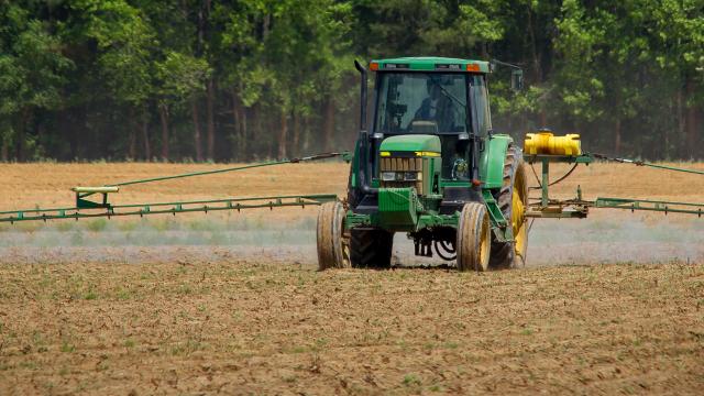 Prefettura Ascoli: attivata Sezione Rete del lavoro agricolo di qualità, certificazione a garanzia rispetto delle norme