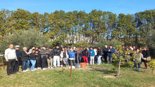 Giornata mondiale degli alberi, cerimonia piantumazione all' IIS Capriotti e alla Scuola Primaria di Cupra Marittima