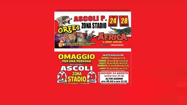 Ascoli Piceno: l’affascinante e straordinario sogno africano del Circo Paolo Orfei