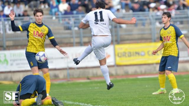 Eccellenza Marche: highlights Atletico Ascoli-Urbino 1-0, il match che fa volare in Serie D!