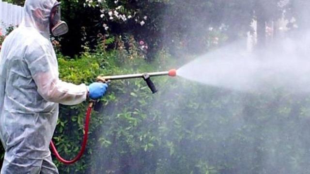 Ascoli Piceno: interventi di disinfestazione del territorio comunale