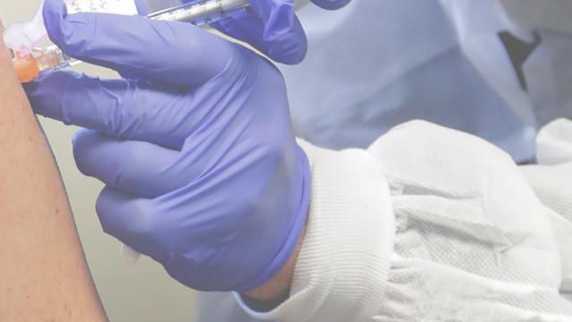 Vaccinazioni Covid-19, Regione Marche incontra Medici di Medicina Generale