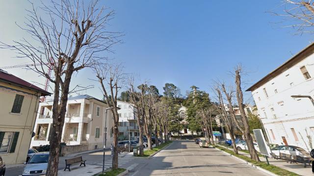 Ascoli Piceno, opposizione contro delibera abbattimento alberi in città. Chiesta convocazione della Commissione Ambiente