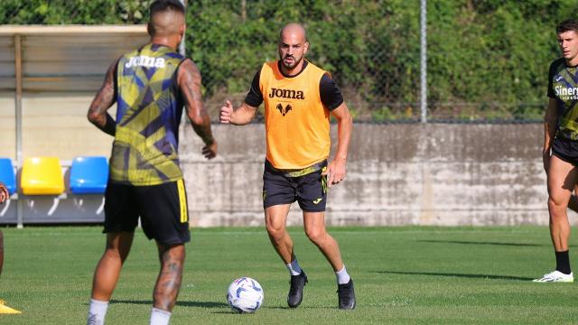 Verona-Ascoli, ripresi gli allenamenti di gialloblù e bianconeri in vista della sfida di Coppa Italia