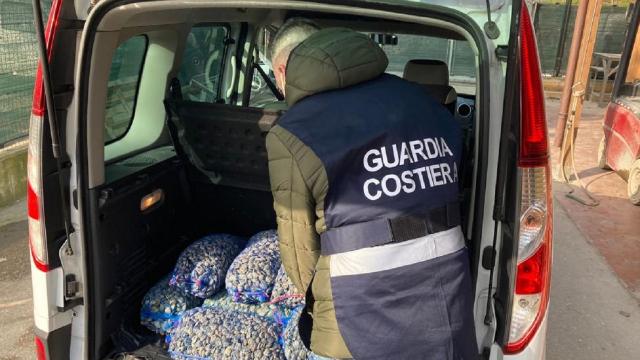 Blitz della Guardia Costiera in porto a San Benedetto del Tronto. Sequestrati oltre 50 chili di vongole illegali