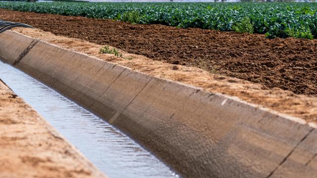  Allarme siccità, Consorzio di Bonifica delle Marche verso turnazione impianti a scorrimento del comprensorio dell’Aso