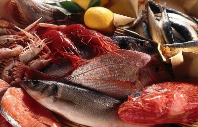 Fermo pesca, l'Arisap appoggia la protesta dei marittimi