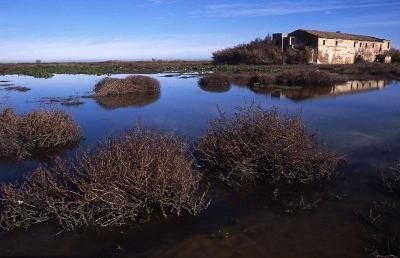 Emendamento Perazzoli, nota di Ambiente e Salute nel Piceno