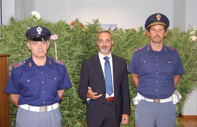  Villa Pigna, arrestato ascolano che piantava marijuana in casa