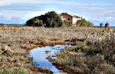 Coordinamento “Salviamo la Sentina”, lettera a Sandro Rocchetti