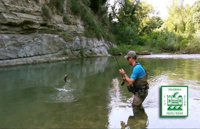 Pesca con la mosca, l'Ascoli Fly Meeting torna con tante novita'